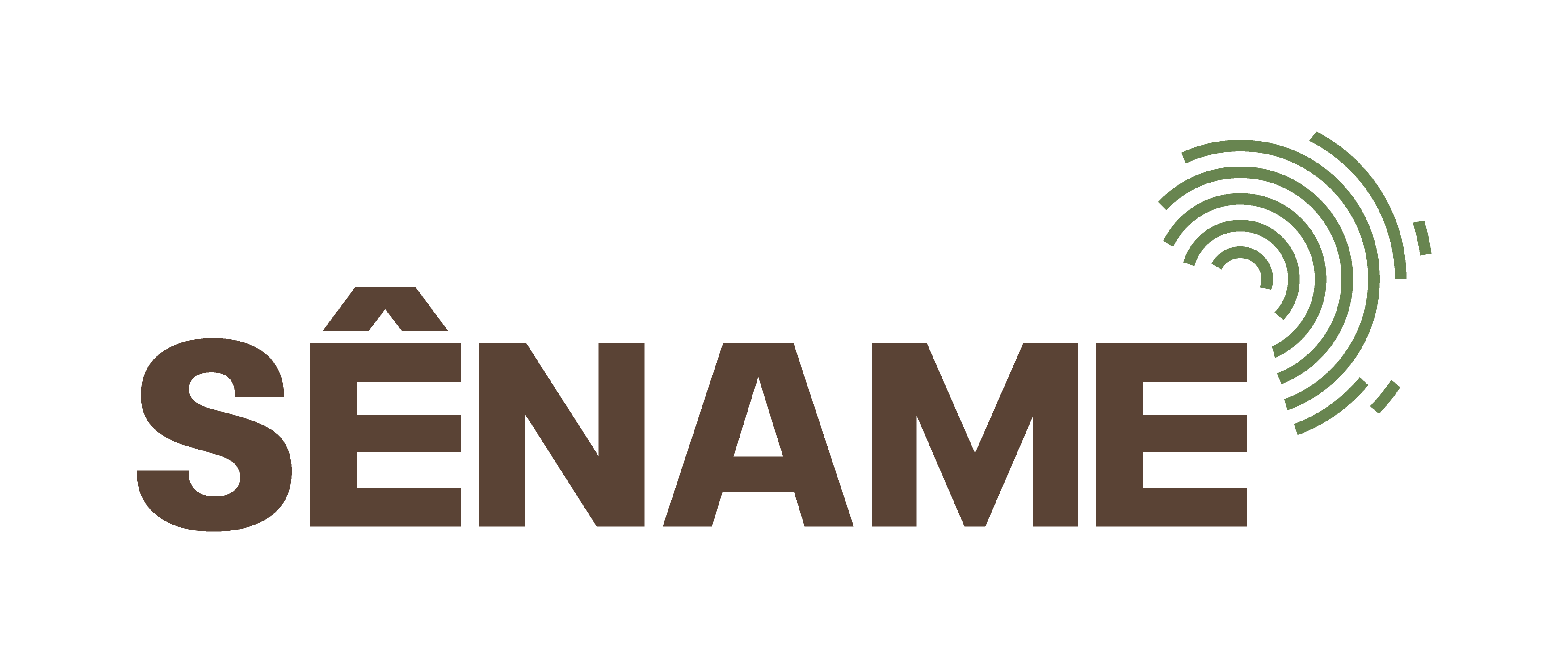 Sename Project
