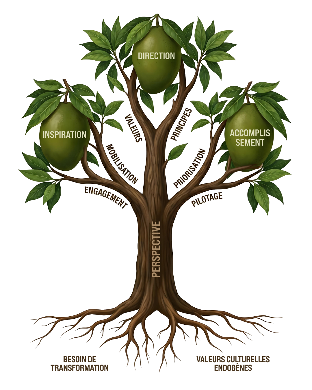 https://www.senameproject.com/wp-content/uploads/2026/05/arbre-sename-du-bon-chef-illustration-2-1.png